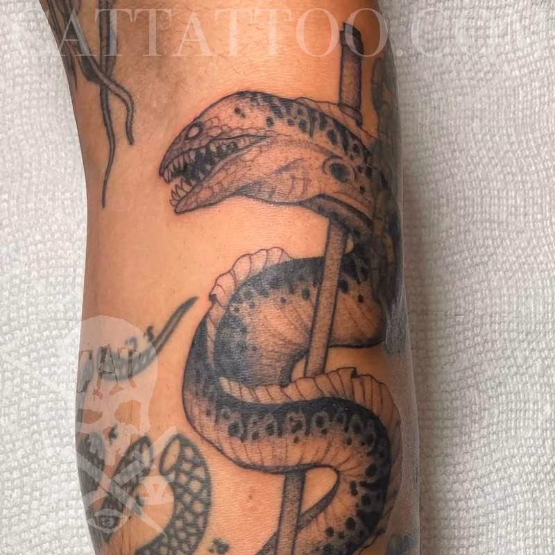 Eel with Trident
