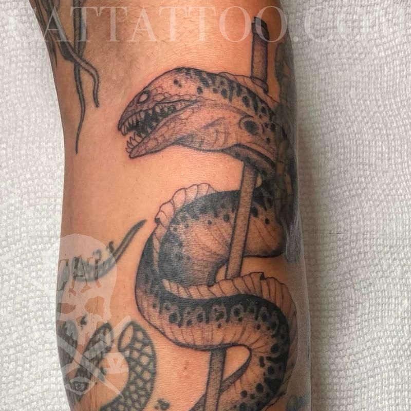 Eel with Trident