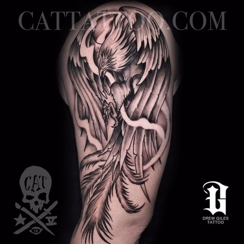 Black and Grey Pheonix