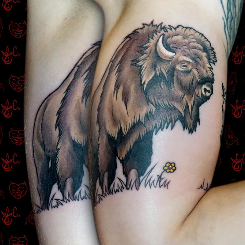 Bison