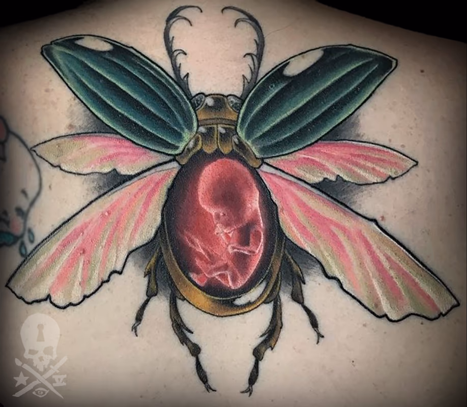 Beetle