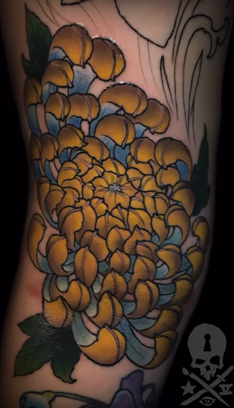 Chrysanthemum