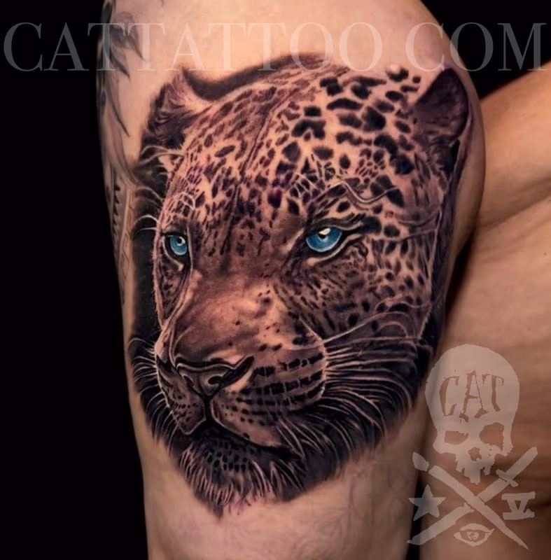 Leopard