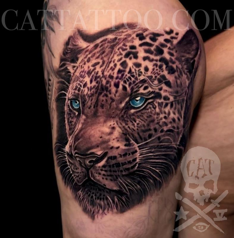 Leopard