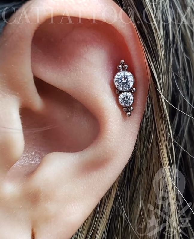 Cartilage