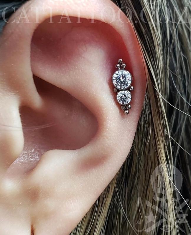 Cartilage