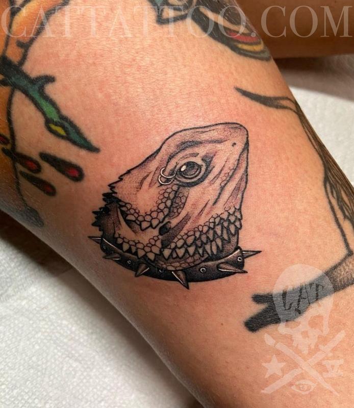 Bearded Dragon