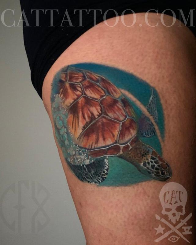 Turtle