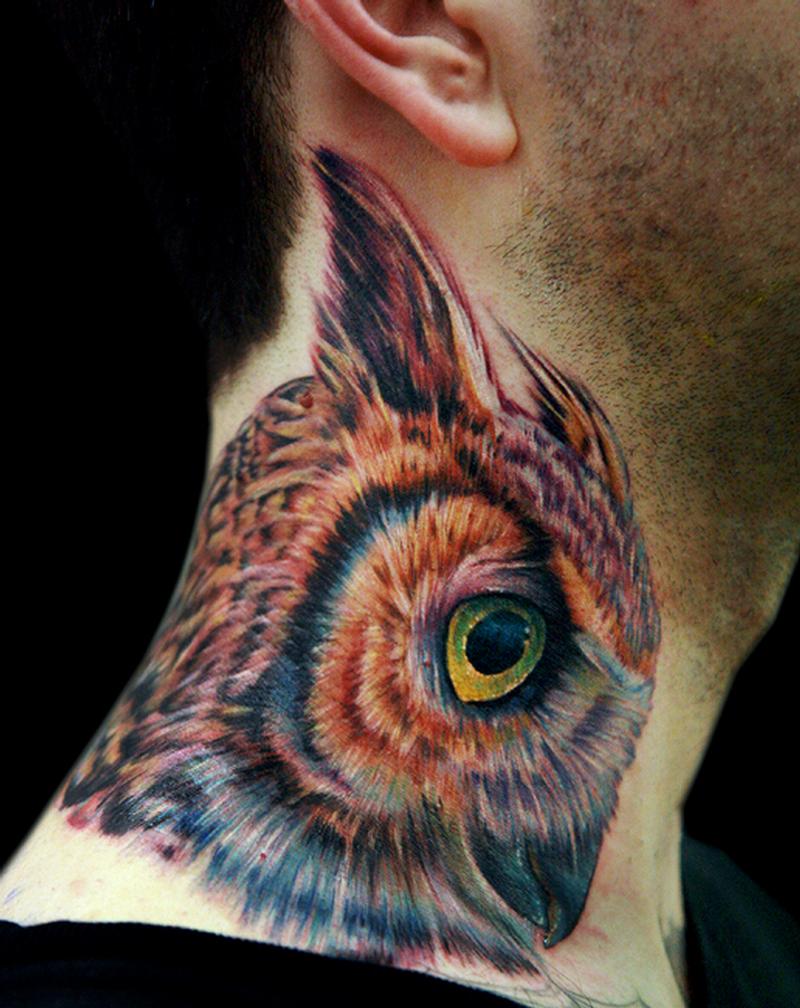 An owl