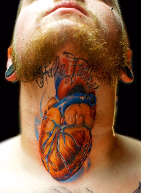 human heart