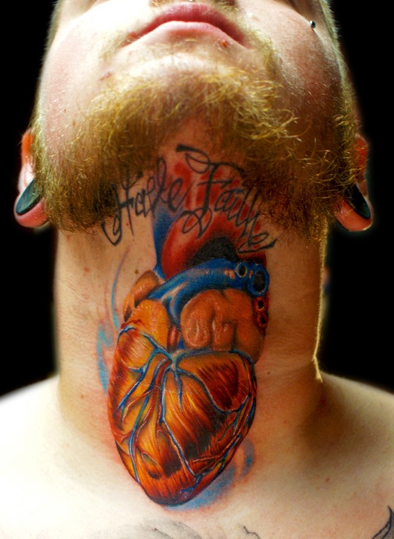 human heart