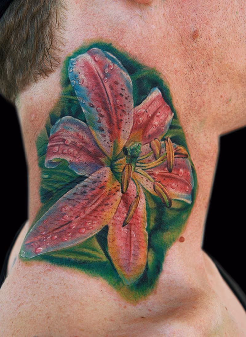 Star Gazer Lily