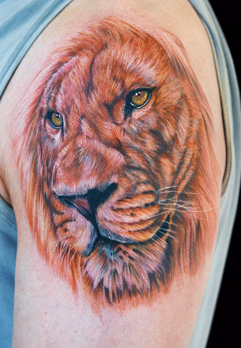 lion
