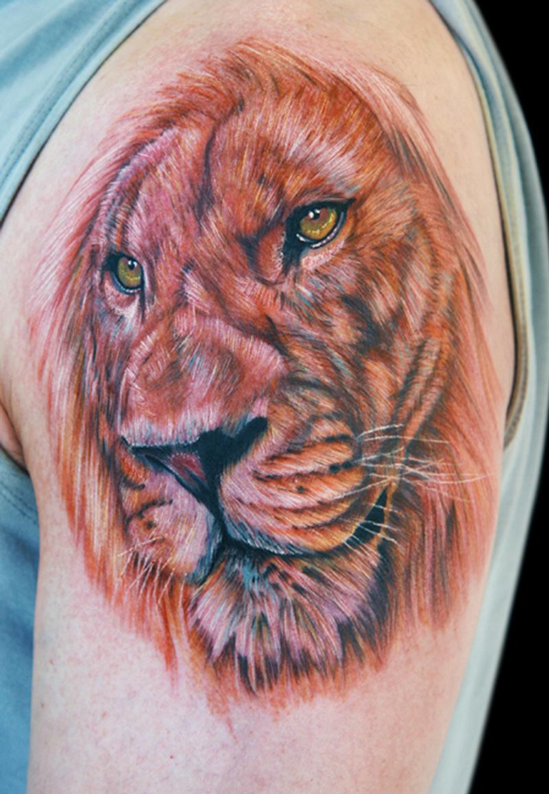 lion