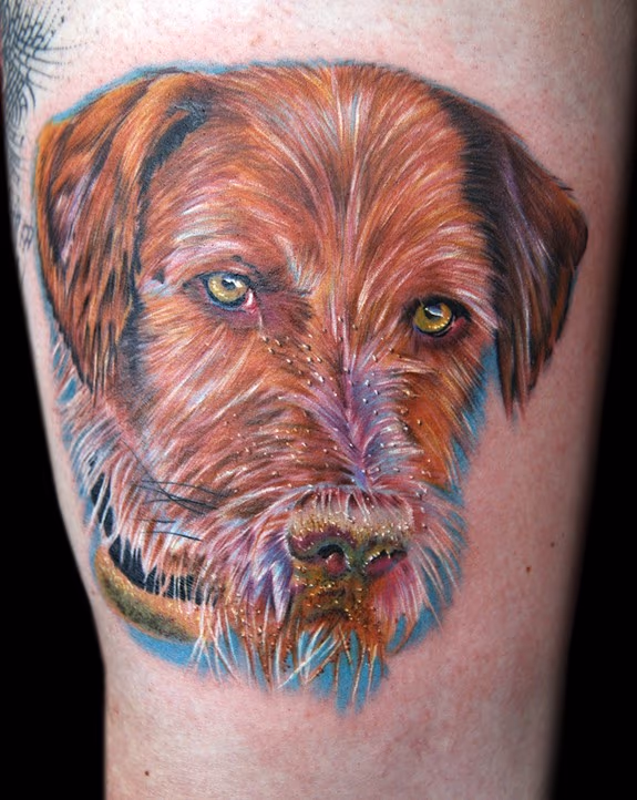 bees dog