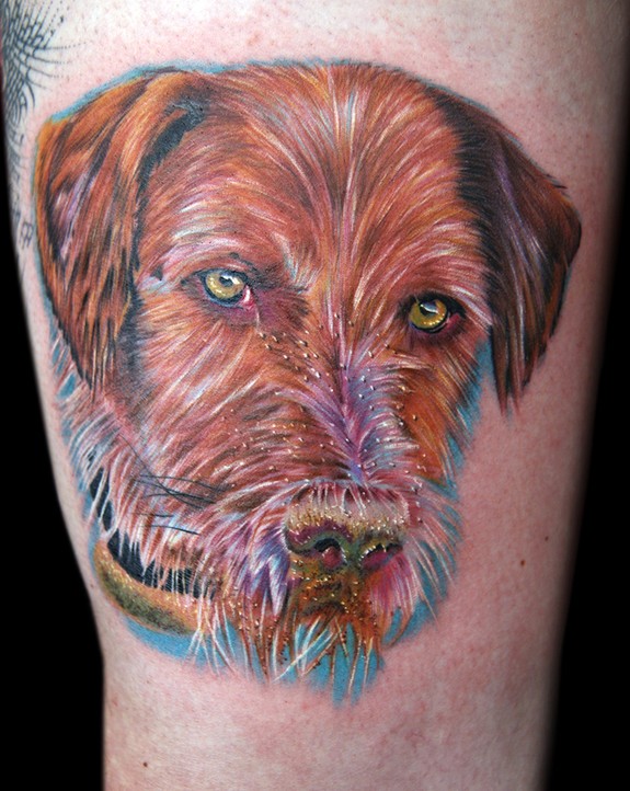 bees dog