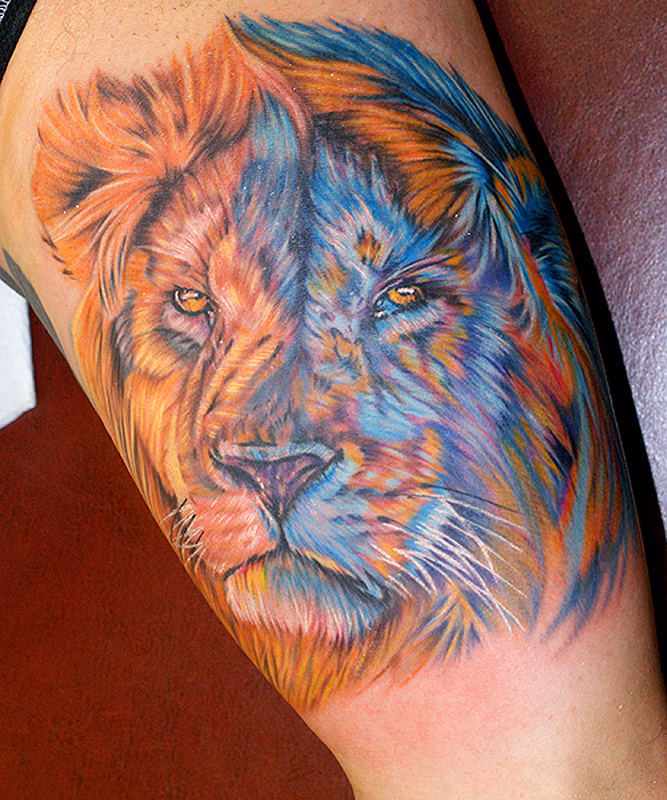 lion