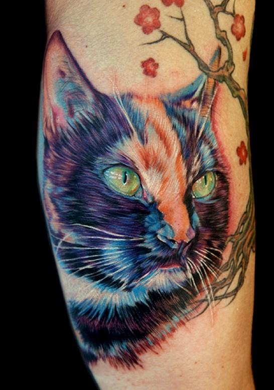 kitty