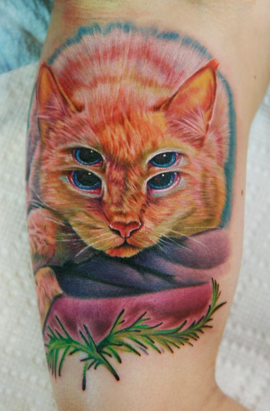 $ eyed cat