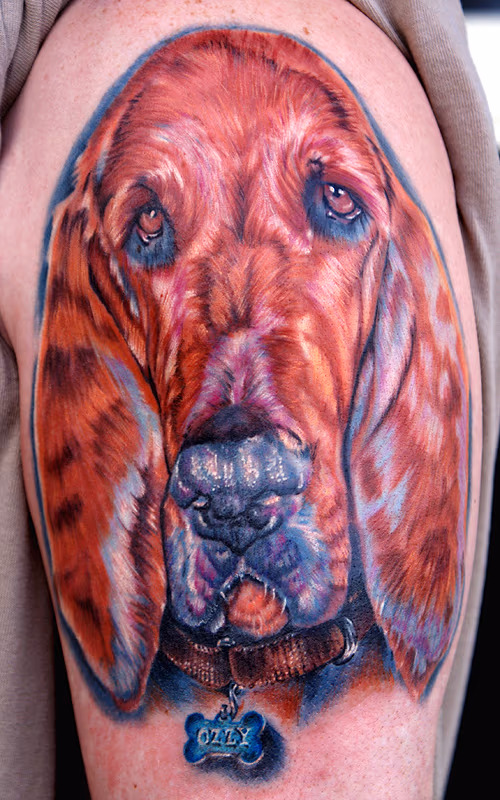 dog (bloodhound)