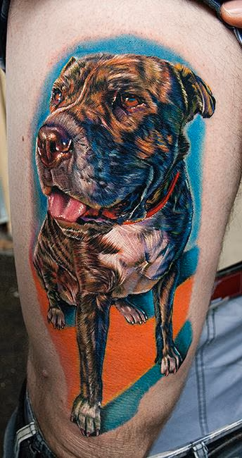 Dog on leg