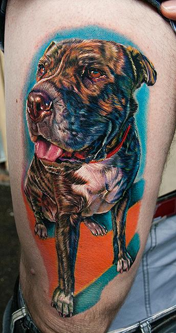 Dog on leg