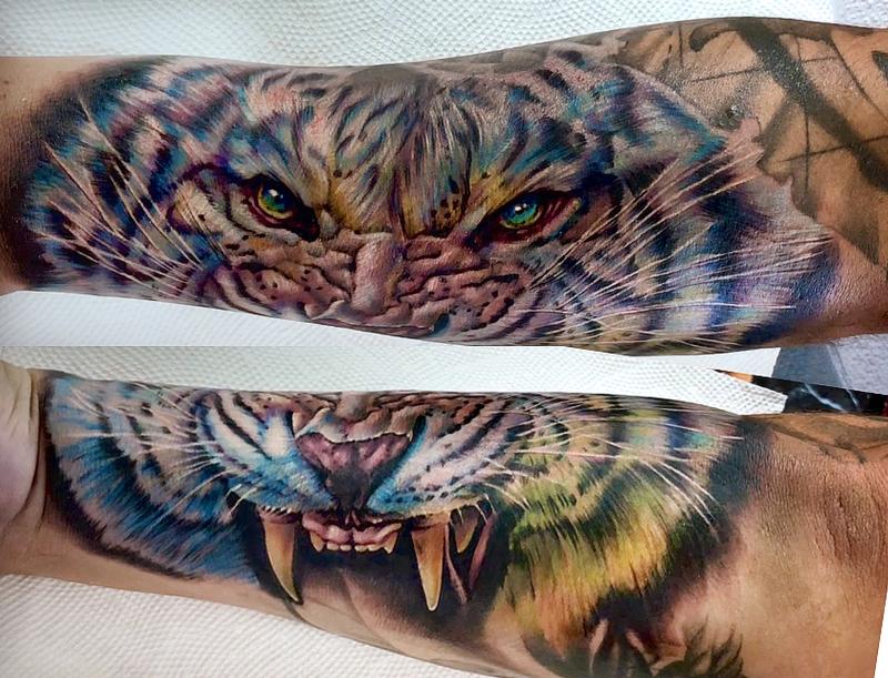 tiger