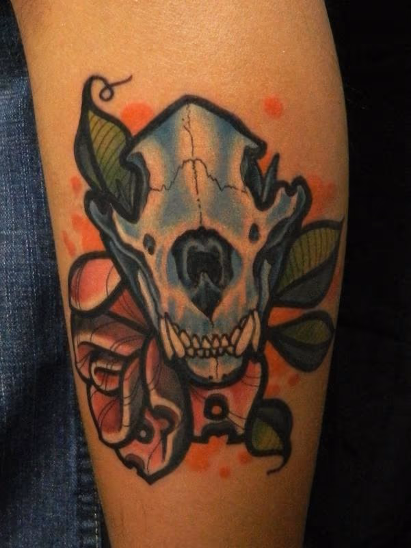 Bear Skull