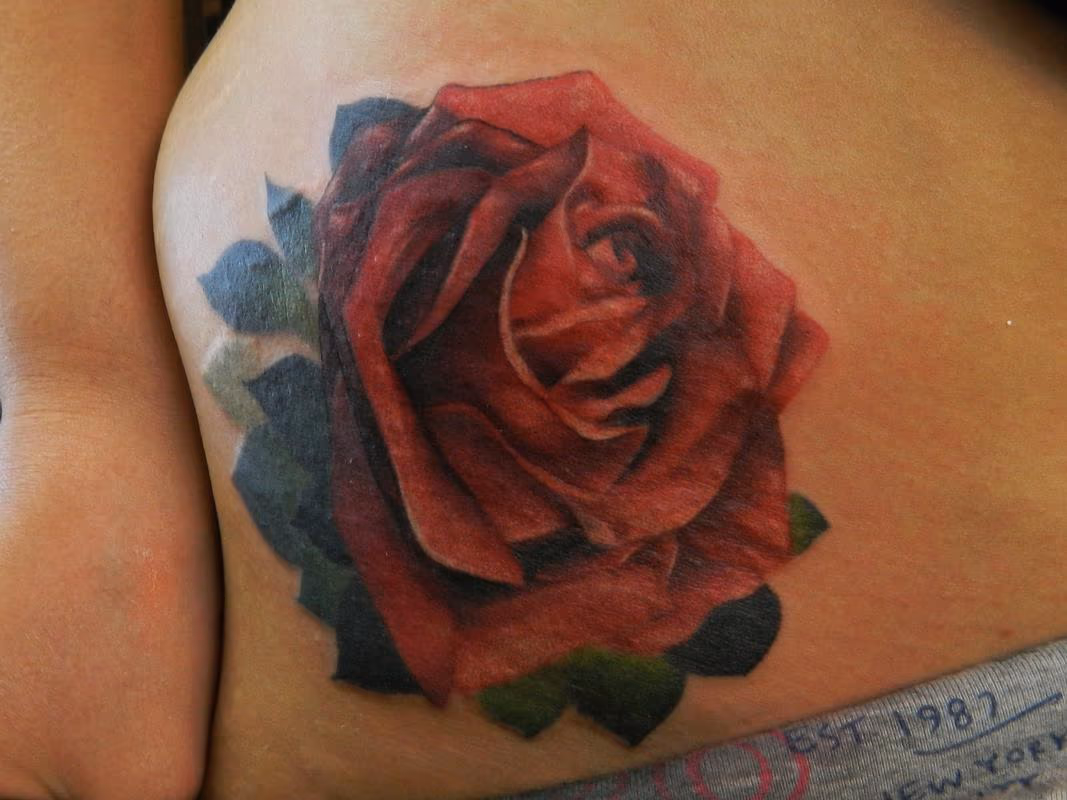 Realistic Rose