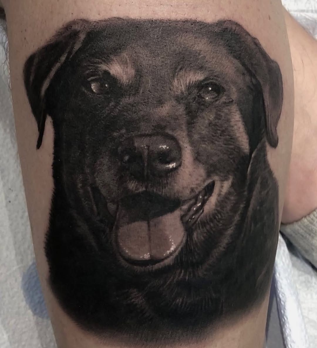Black-and-grey Rottweiler portrait tattoo