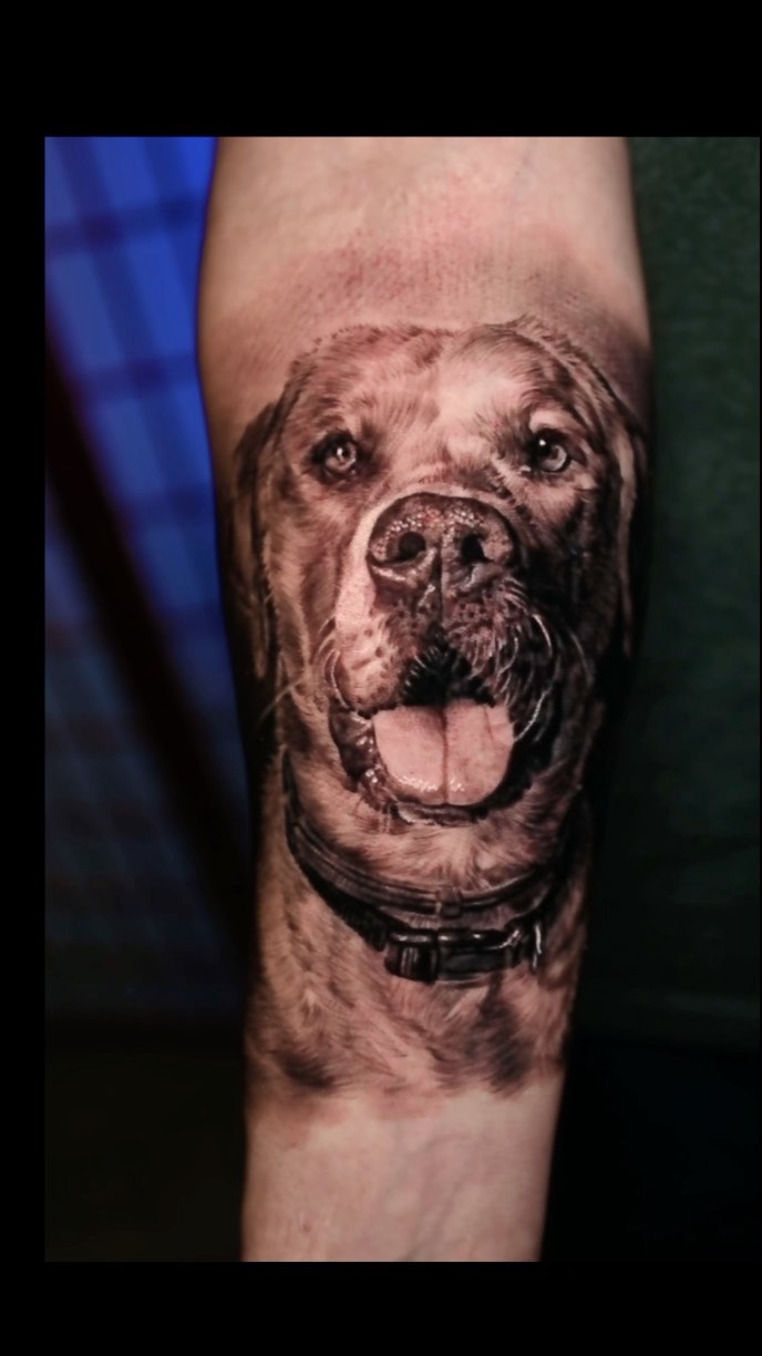 Black-and-grey dog portrait tattoo, forearm