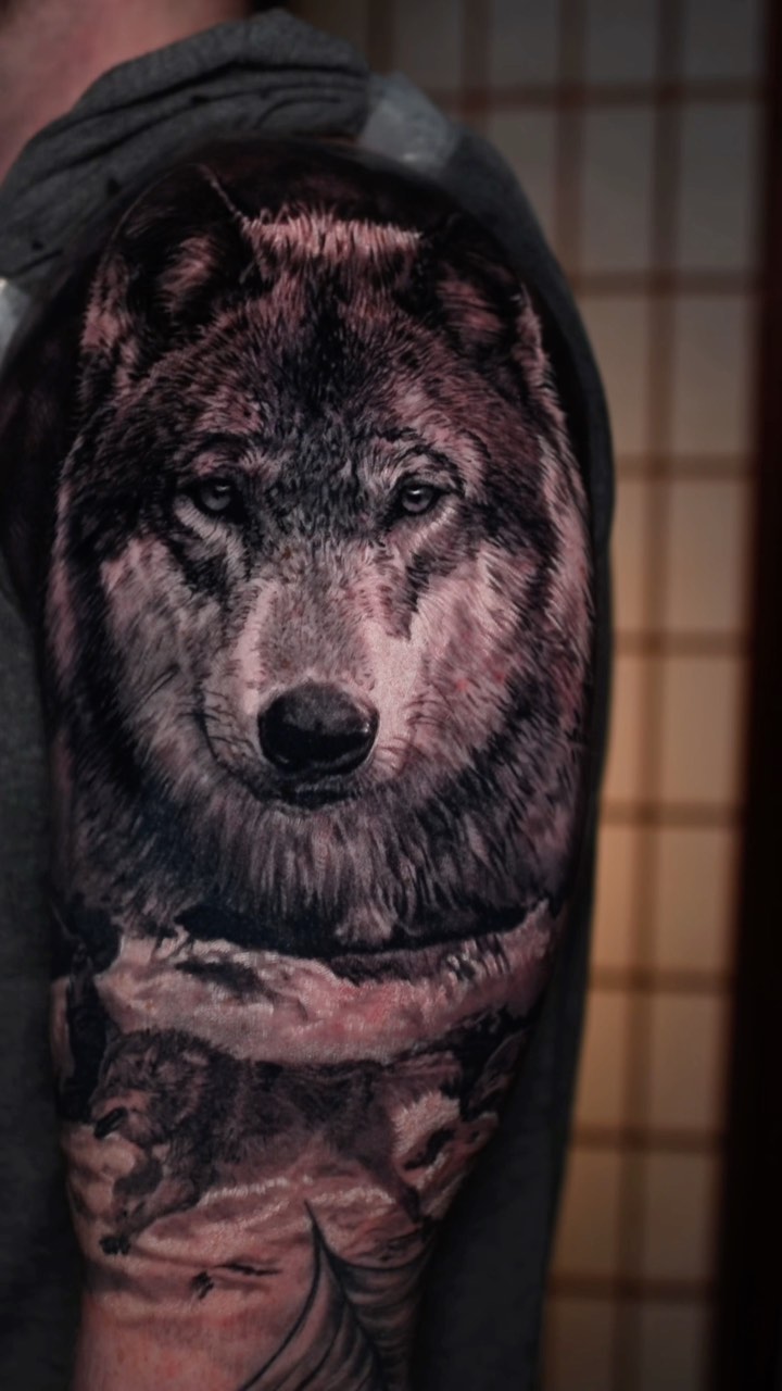 Black-and-grey realism wolf pack, half-sleeve