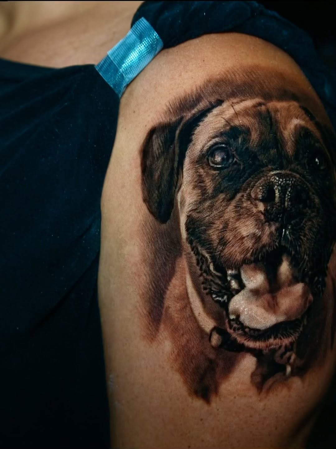 Black-and-grey dog portrait tattoo, shoulder