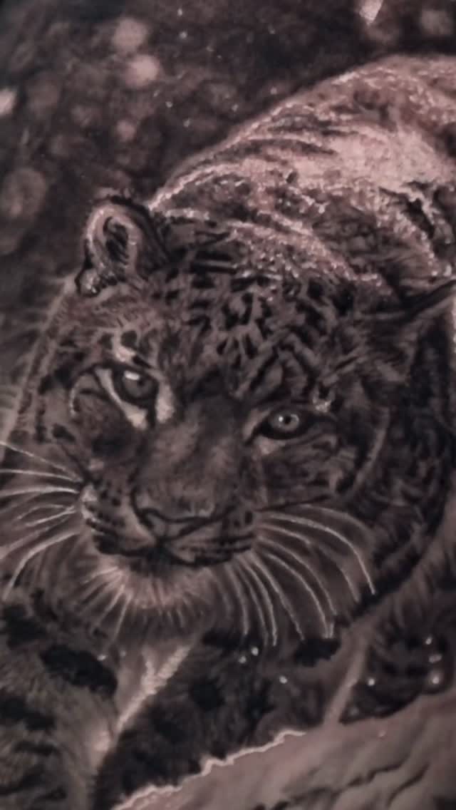 Black-and-grey snow leopard realism tattoo