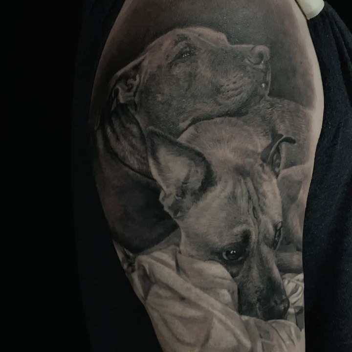 Black-and-grey dog portrait tattoo, bicep