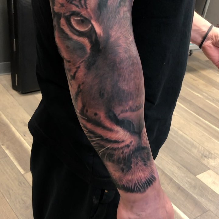 Black-and-grey tiger portrait sleeve, forearm