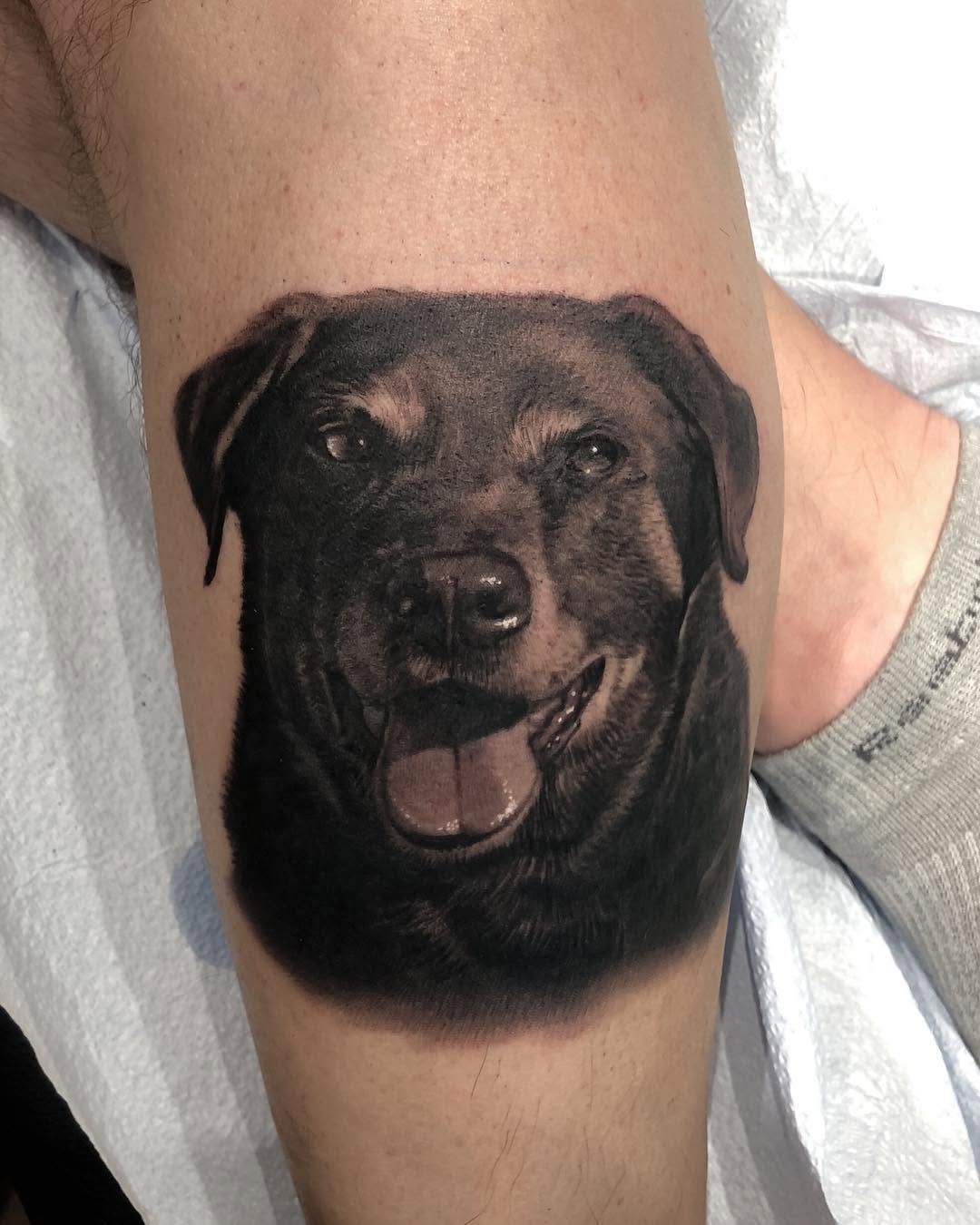 Black-and-grey Rottweiler portrait tattoo