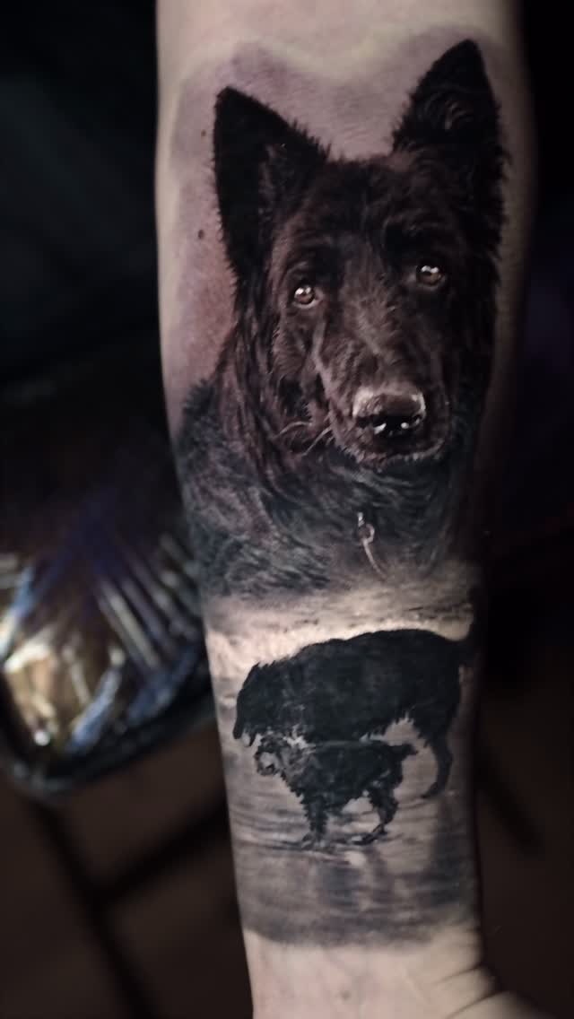 Black-and-grey dog portrait, forearm