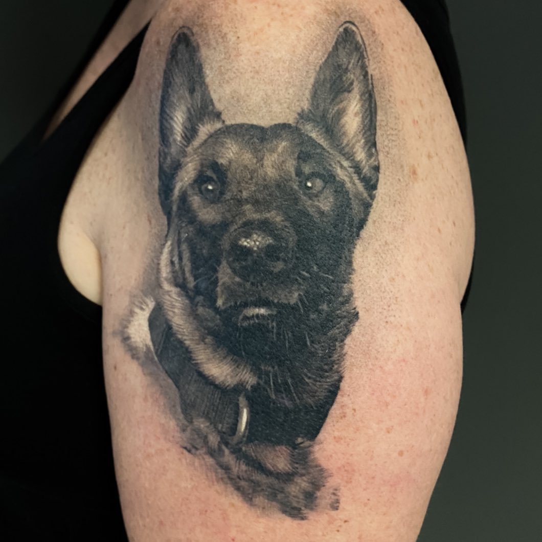 Black-and-grey German Shepherd portrait, bicep