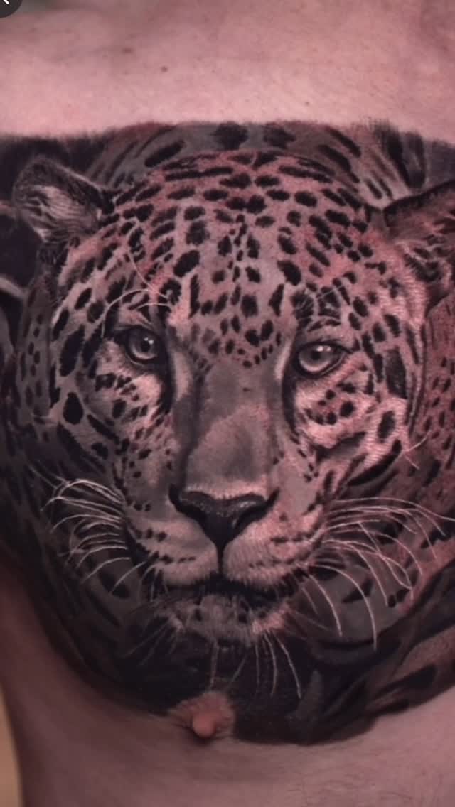 Black-and-grey jaguar portrait, chest