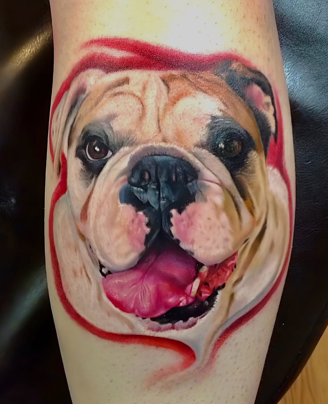 Color realism bulldog portrait tattoo, forearm
