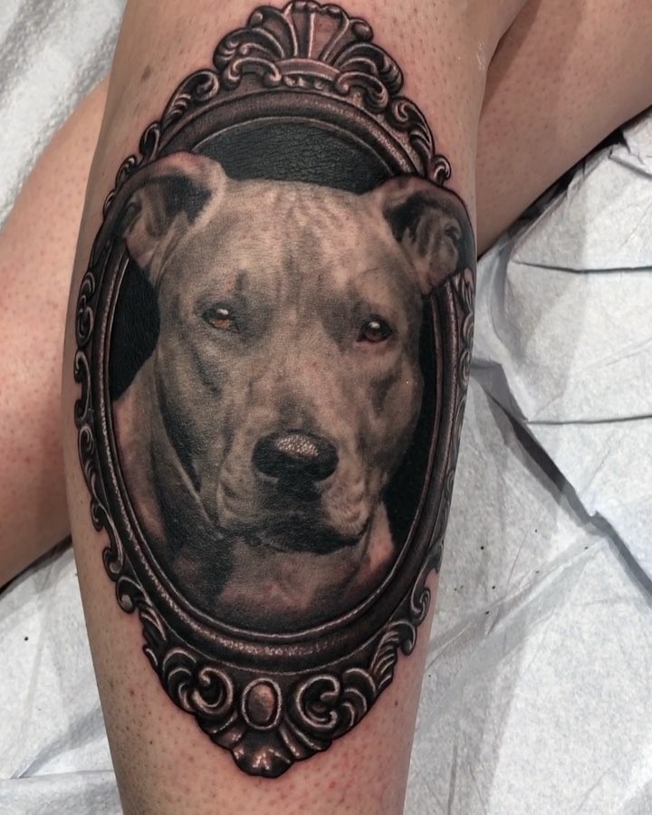 Black-and-grey pitbull portrait in ornate frame