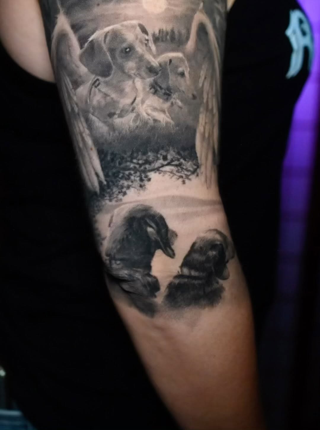 Black-and-grey dog angels portrait, arm