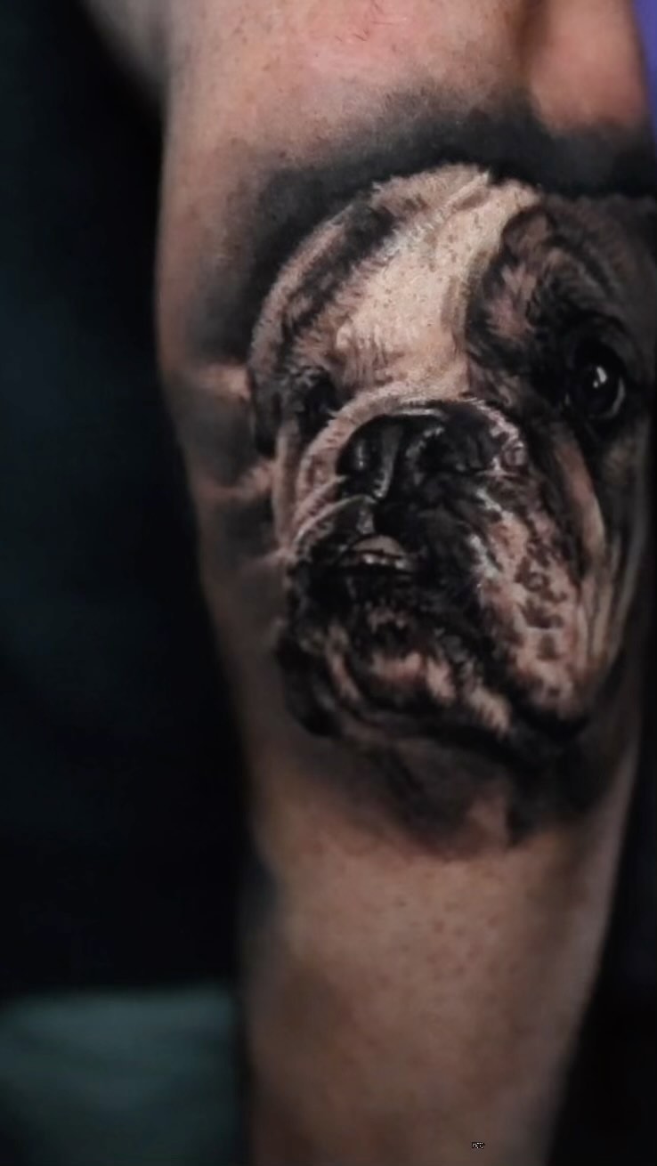 Black-and-grey bulldog portrait, forearm