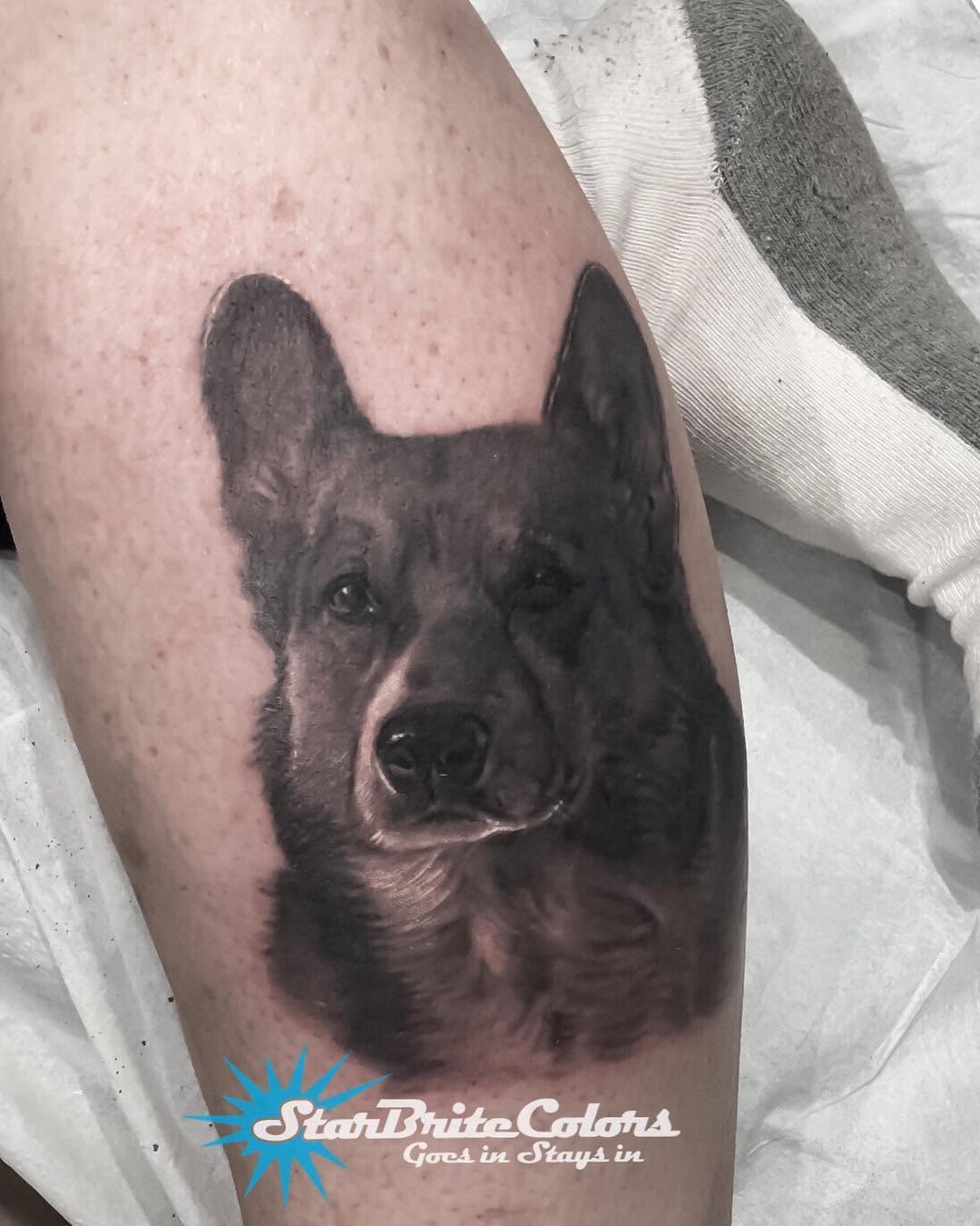 Black-and-grey German Shepherd portrait, calf