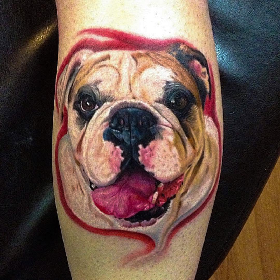 Color realism English bulldog portrait, forearm