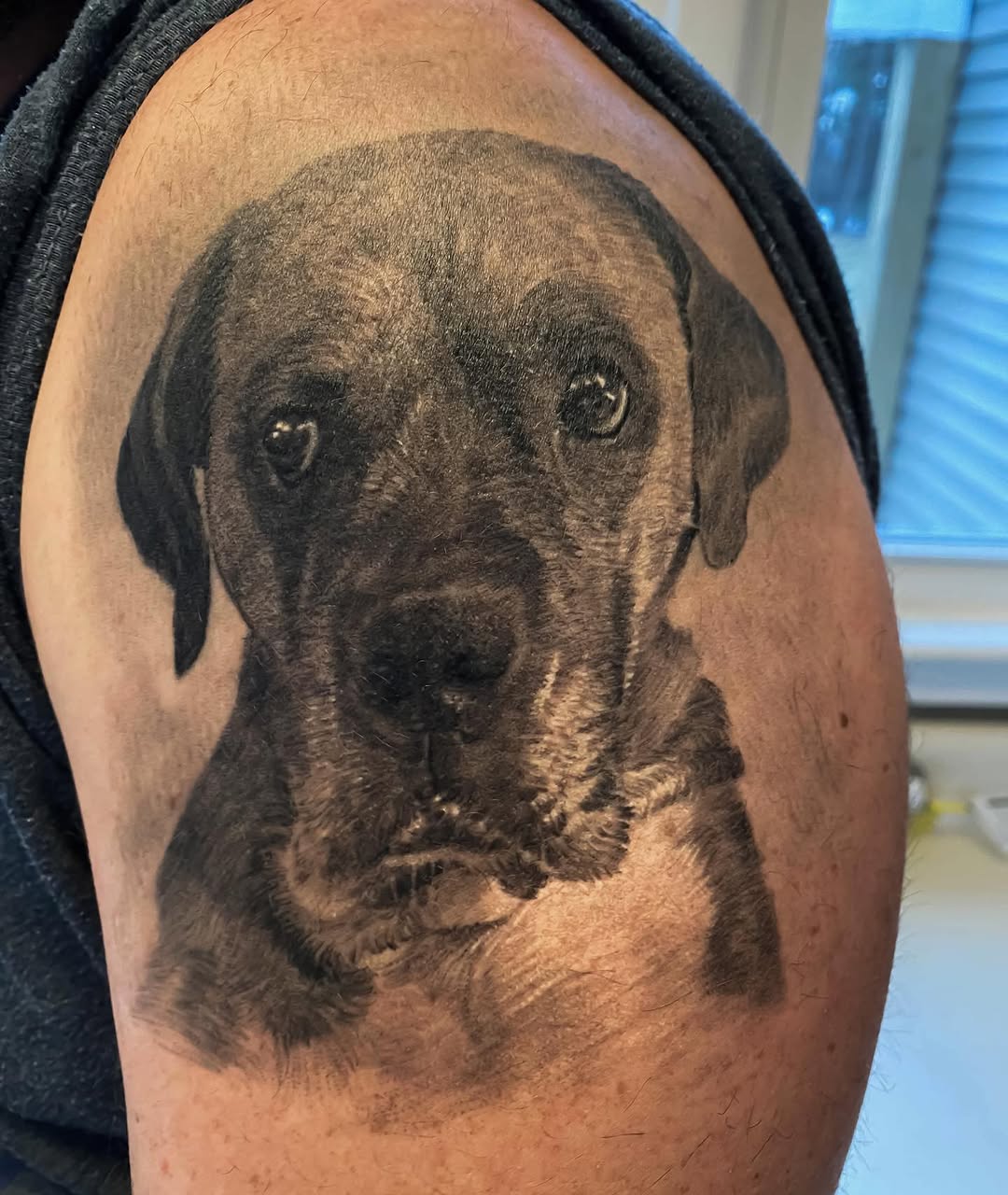 Black-and-grey dog portrait tattoo, bicep