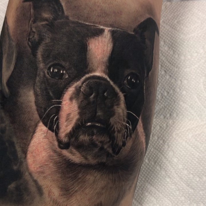 Black-and-grey French bulldog portrait tattoo