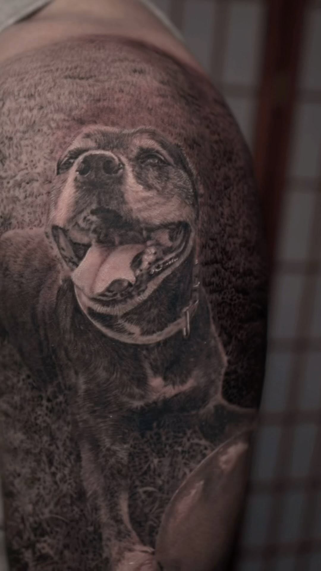 Black-and-grey dog portrait half sleeve