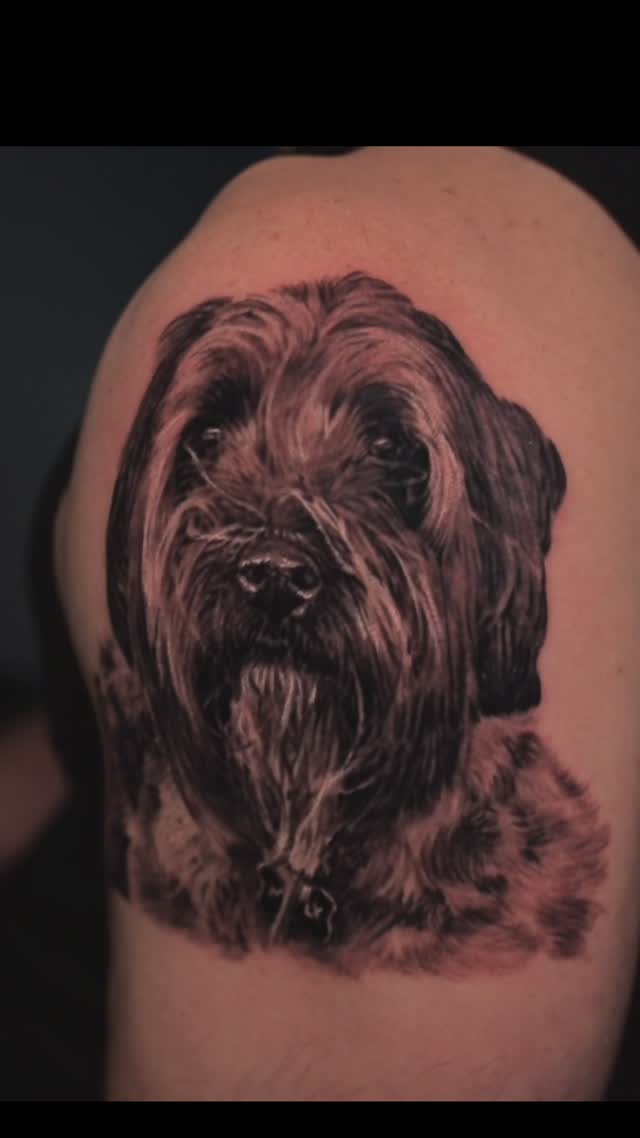 Black-and-grey dog portrait tattoo, bicep